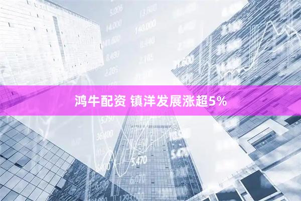 鸿牛配资 镇洋发展涨超5%